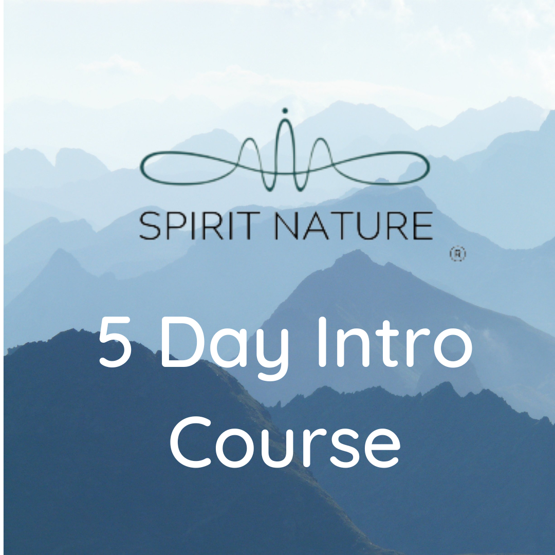 5 Day Intro To Spirit Nature Course